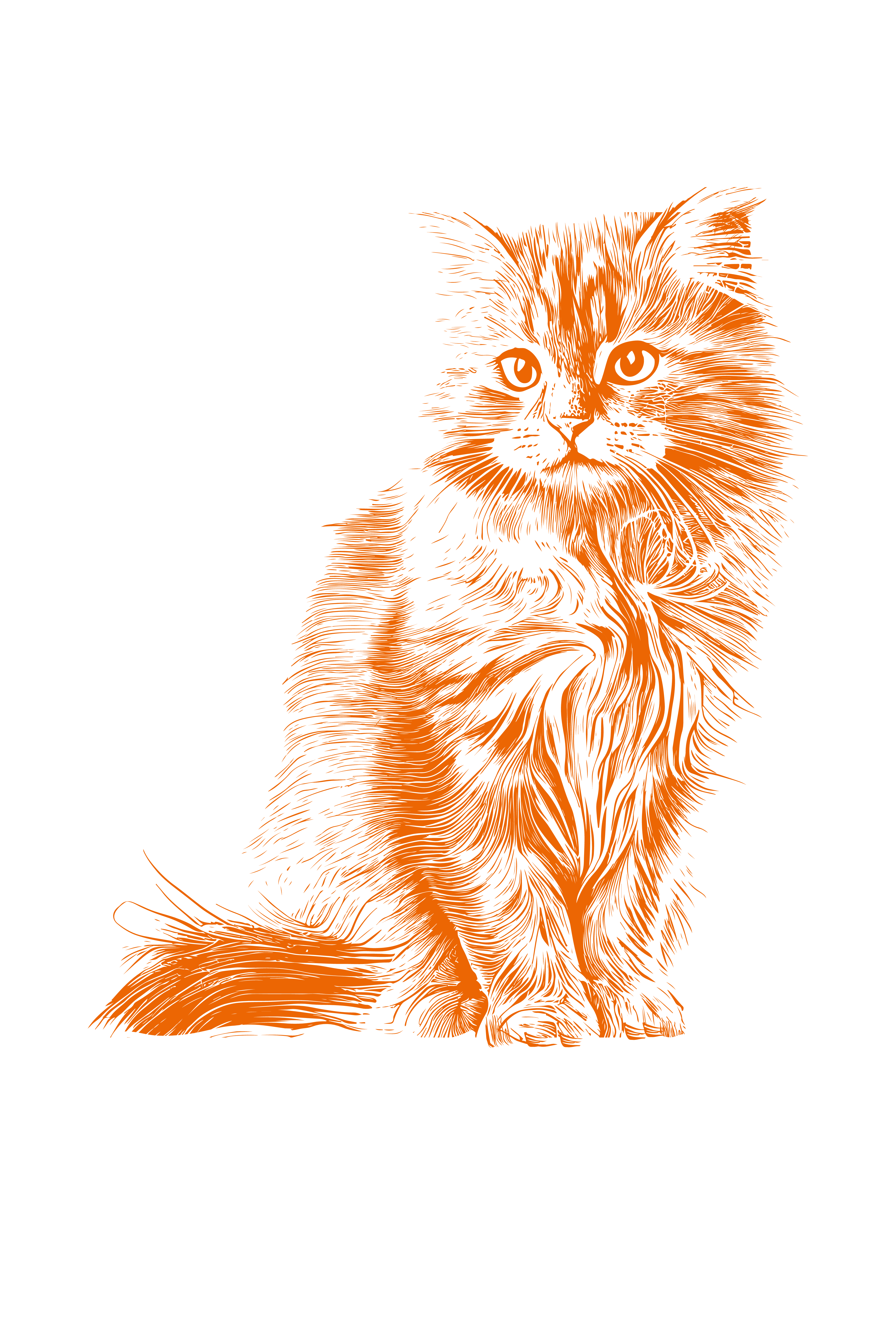 Кошка